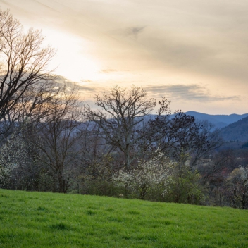 full-_MG_8932-Edit-Edit