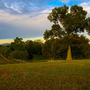 full-The-Farm-At-Mills-River-july-10