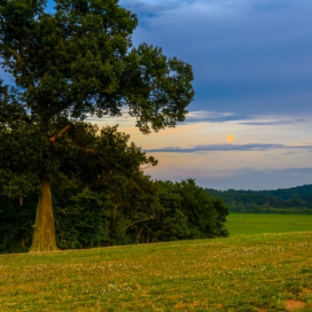 full-The-Farm-At-Mills-River-july-18