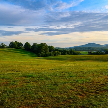 full-The-Farm-At-Mills-River-july-5