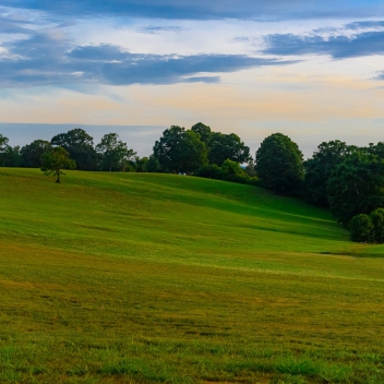 full-The-Farm-At-Mills-River-july-7