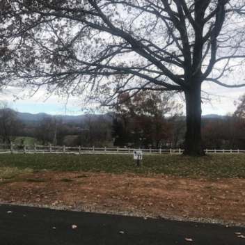 full-The-Farm-at-Mills-River-November-2010-11