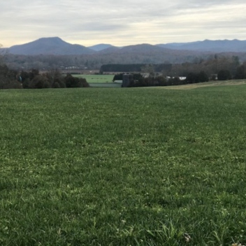 full-The-Farm-at-Mills-River-November-2010-4